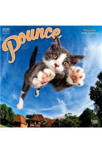 Pounce 2020 Square