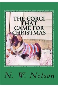 The Corgi that came for Christmas