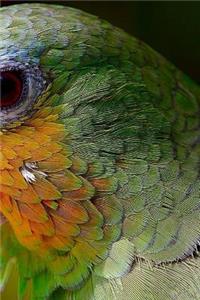 Amazon Parrot Notebook