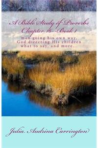 A Bible Study of Proverbs Chapter 16--Book 1