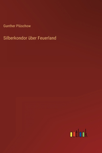 Silberkondor über Feuerland