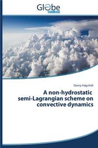 Non-Hydrostatic Semi-Lagrangian Scheme on Convective Dynamics