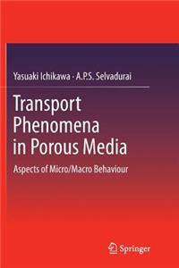 Transport Phenomena in Porous Media