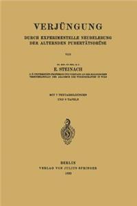 Verjüngung