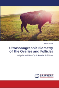 Ultrasonographic Biometry of the Ovaries and Follicles