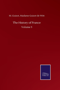 History of France: Volume 5