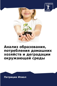 Анализ образования, потребления домашних