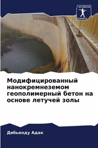 Модифицированный нанокремнеземом геопо&#