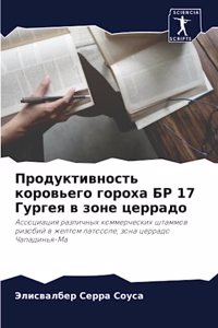 Продуктивность коровьего гороха БР 17 Гург
