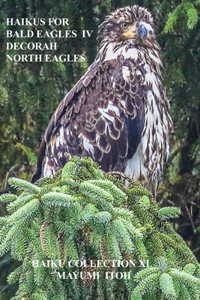 Haikus for Bald Eagles IV