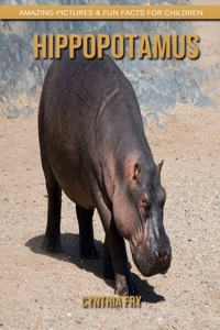Hippopotamus