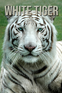 White Tiger