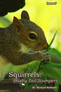 Squirrels