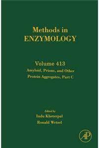 Amyloid, Prions, and Other Protein Aggregates, Part C