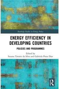 Energy Efficiency in Developing Countries