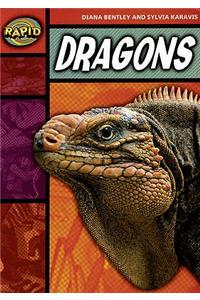 Rapid Reading: Dragons (Stage 2, Level 2B)