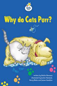 Why Do Cats Purr?