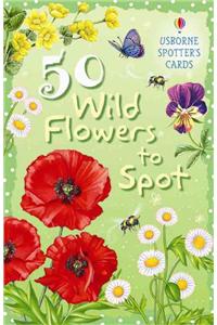 50 Wild Flowers to Spot