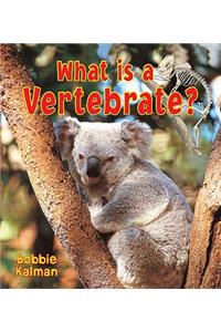 What is a Vertebrate