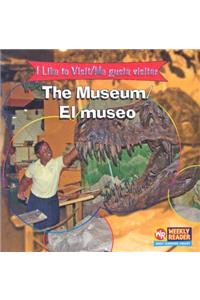 The Museum/El Museo