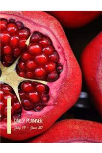 Daily planner July 19 - June 20