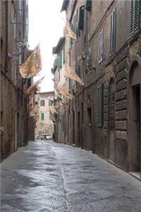 An Alley in Siena, Italy Journal