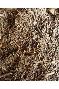 School Composition Book Nature Ground Balsam