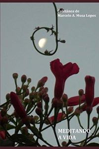 Meditando a Vida
