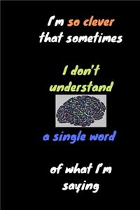 I'm so clever that sometimes I don't understand a single word of what I'm saying