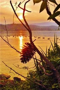 Pretty Blank Lined Journal for daily thoughts notebook Pinecone Sunset Lovely Lake Arrowhead Photograph