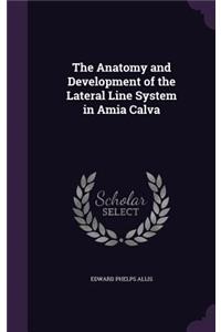 The Anatomy and Development of the Lateral Line System in Amia Calva