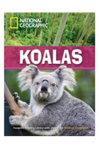 Koalas + Book with Multi-ROM