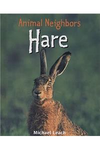 Hare