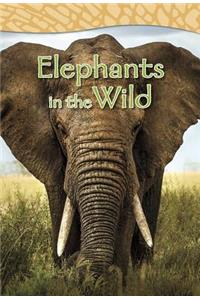 Elephants in the Wild