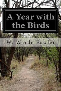 Year with the Birds