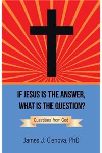 If Jesus Is the Answer, What Is the Question?