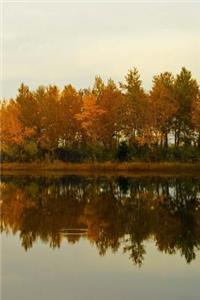 Mind Blowing Autumn Tree Line Journal: 150 page lined journals