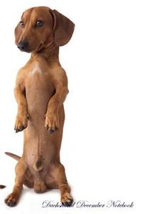 Dachshund December Notebook Dachshund Record, Log, Diary, Special Memories, to Do List, Academic Notepad, Scrapbook & More