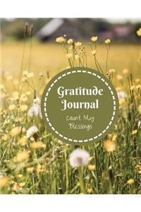 Gratitude Journal