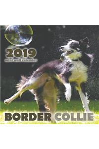 Border Collie 2019 Mini Wall Calendar