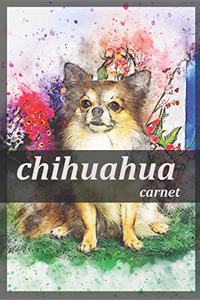 chihuahua carnet