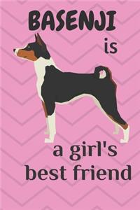 Basenji is a girl's best friend
