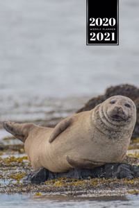 Seal Manatee Sea Lion Cow Walrus Dugong Week Planner Weekly Organizer Calendar 2020 / 2021 - Lying Around