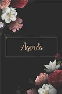 Agenda