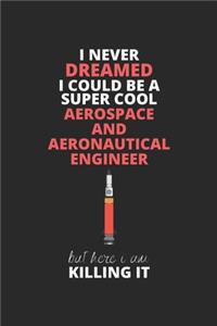 I Never Dreamed I Could Be A Super Cool Aerospace And Aeronautical Engineer But Here I Am Killing It