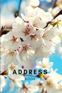 Address Book