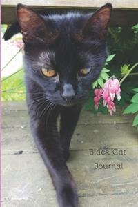 Black Cat Journal