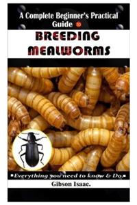 A Complete Beginner's Practical Guide To BREEDING MEALWORMS.