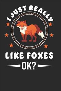 I just Really Like Foxes, Ok?