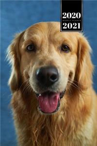 Golden Retriever Dog Calendar Week Planner 2020 / 2021 - Very Kind